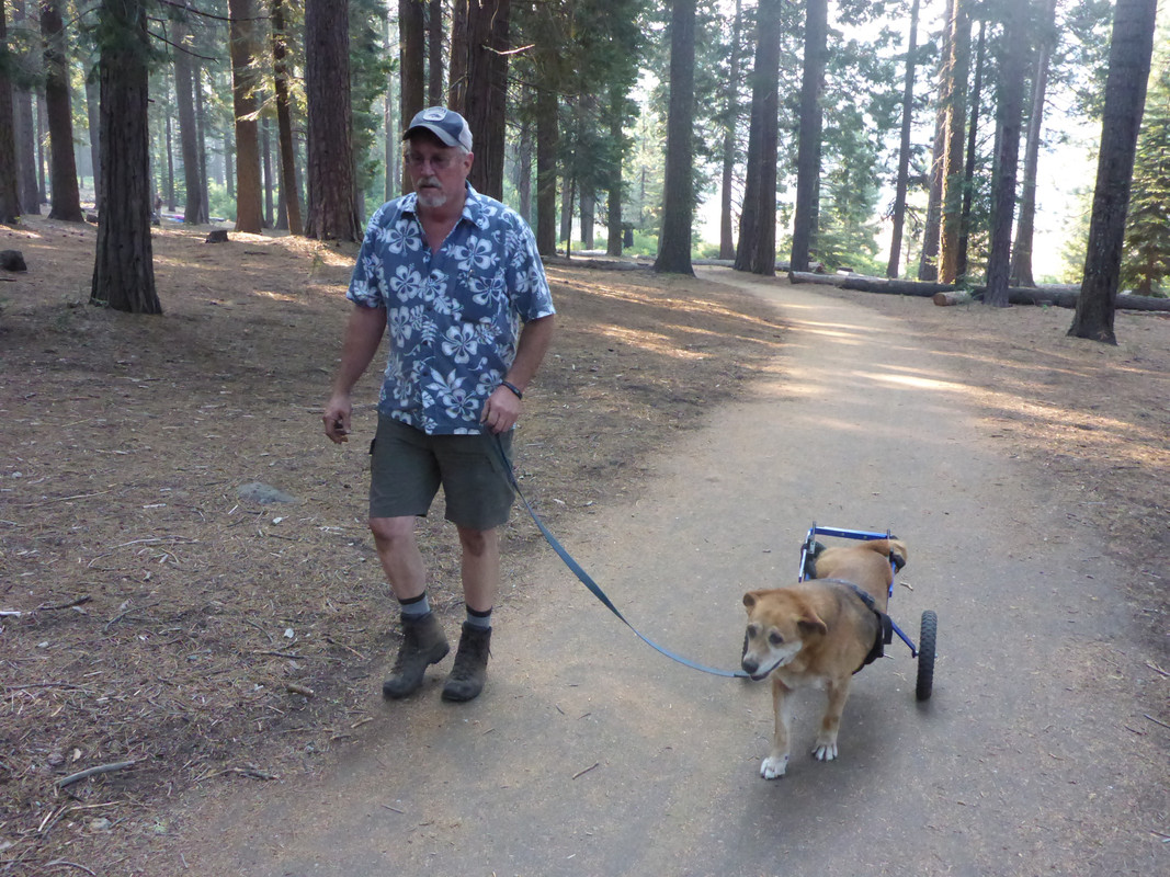 Me and Buddy walking Tam Jam 16 (002)