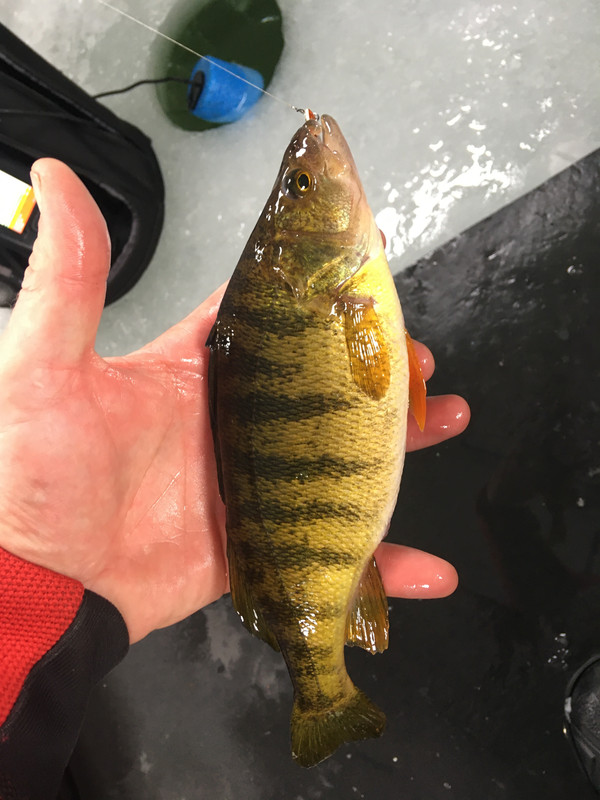 C7483E40-419A-40E3-A3F7-1F60251EA466