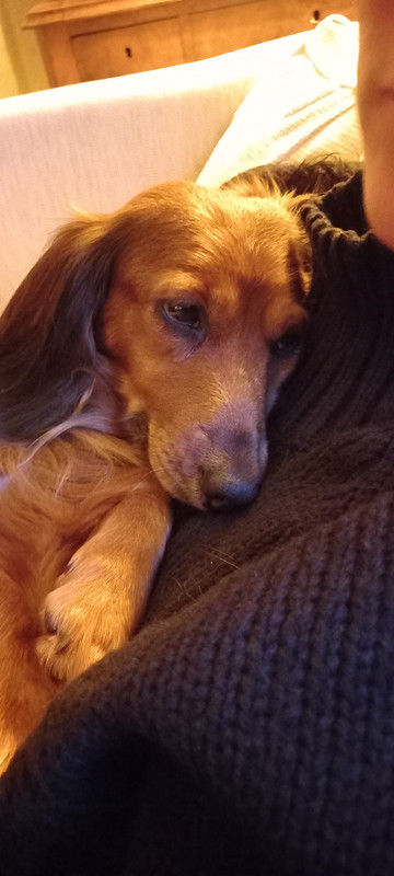 [Image: 20250115-174222.jpg]