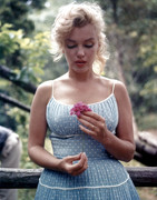 Marilyn-Monroe-a613