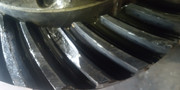 IMG-20260128-110840413.jpg