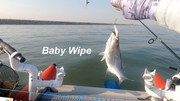 [Image: BABY-WIPE.jpg]
