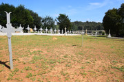 DSC-0014