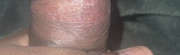 IMG-2504