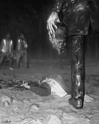 singlebungle1472-20221202-221248-017