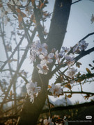 photo 2 2025 12 14 21 51 41