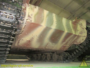 IMG-9132