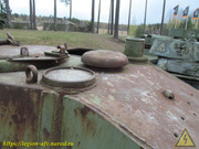 IMG-6422