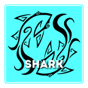 Shark V4