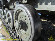 IMG-3443