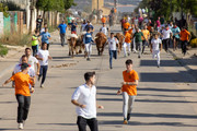 IMG-0462