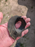PXL-20250413-145031832.jpg