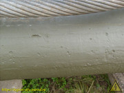 S6303996
