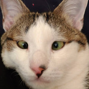 2018-05-31 05.47.29 1791393257035249578_338237262