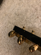 FF946313-A5B9-4581-8DA5-49DC21149059