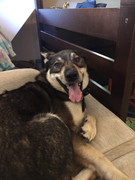 77041FEB-6CC9-47B9-BAC7-EABA997A8575