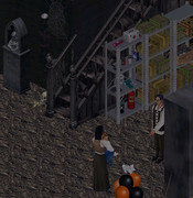 33-whyitsaharmlesslittlebunny