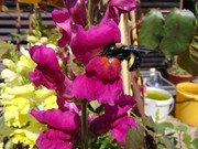 DSC01475