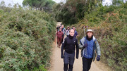 IMG-20251227-105151