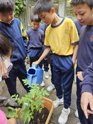 16098c57-16af-4e5a-a12b-887fab1c5882