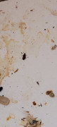 20220627-204300