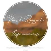 Untitled209-20250323182434-optimized