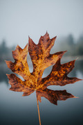 wp11499175-iphone-autumn-aesthetic-wallpapers