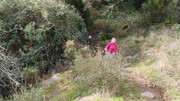 IMG-20260117-113813