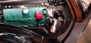 174101274-302992307907398-2357594600782854343-n.jpg