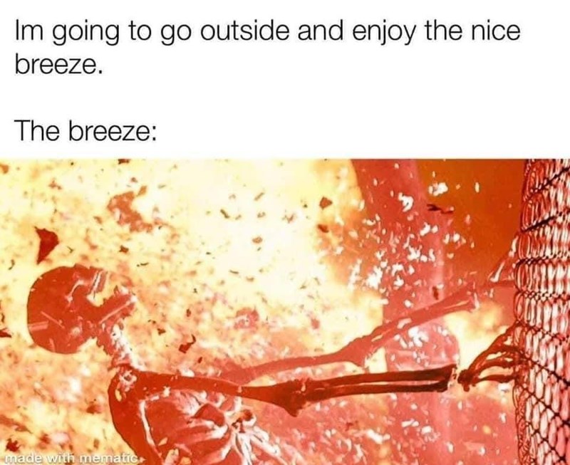 insect-im-going-go-outside-and-enjoy-nice-breeze-breeze-made-with-mematic.jpg