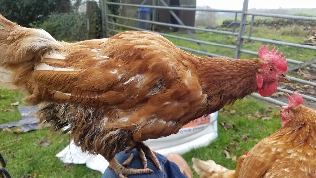 20191019_130051 (640x360)