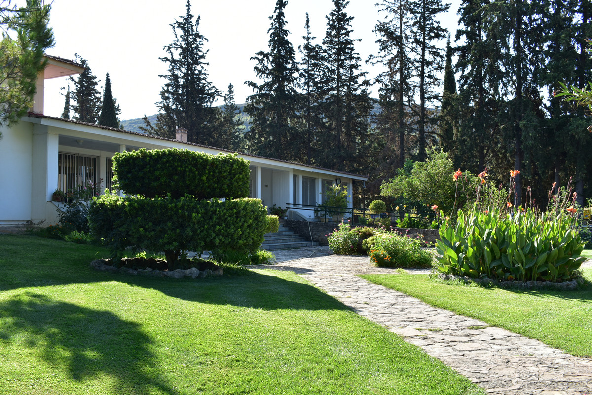 Αρχαία Νεμέα