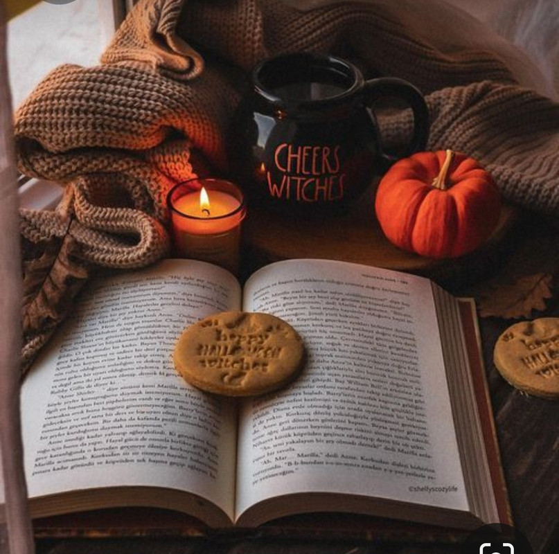 Screenshot_20231015_211530_Pinterest