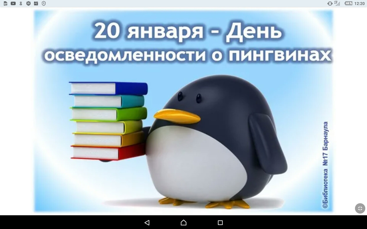 Screenshot_2023-01-20-12-20-06