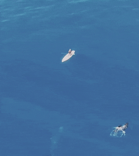 GIFs-13