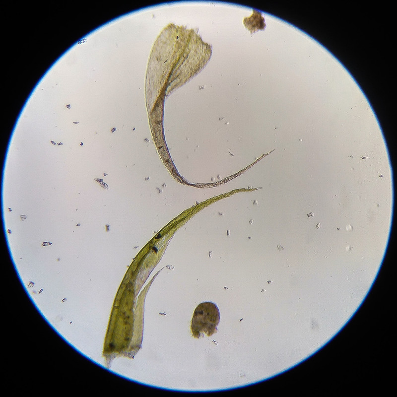 IMG 20250614 122902 HDR