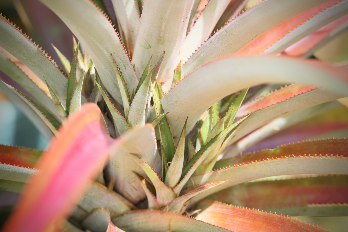 EE6B14EB-9DFF-4206-9B51-A55C16AE9329_1_201_a