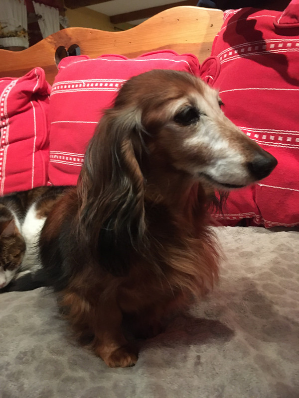 [Image: 39-A6-FFDD-D06-A-4-D51-B896-B32188-DD96-E7.jpg]