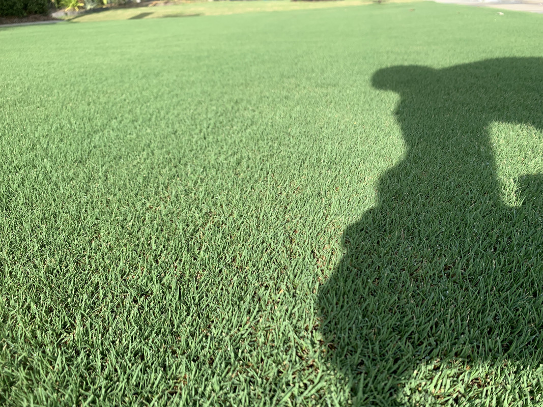 1D4EFAEA-3514-488F-973D-F42ECBE3DAA4