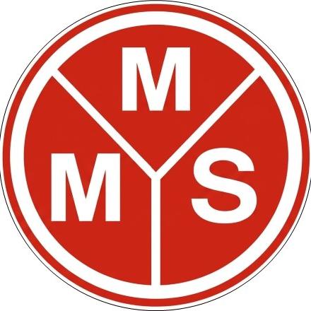 Logo Marlon Multi Service
