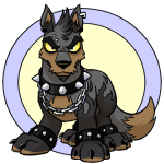 edgy lupe