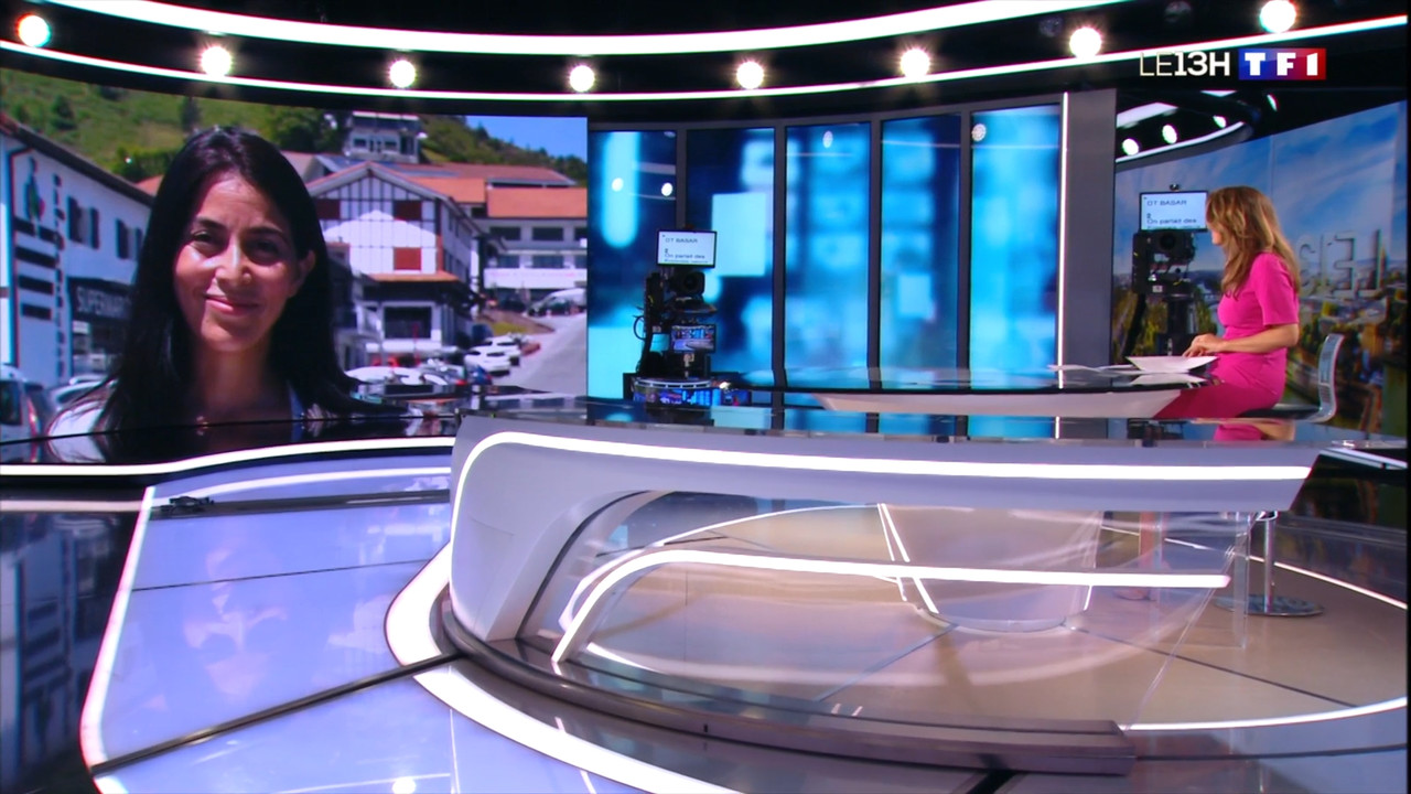 2020-06-21_13_00_TF1_Le-13h.mp4_snapshot_11.06.167
