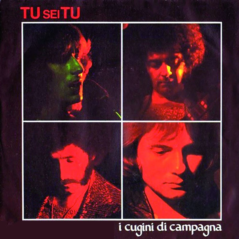 I Cugini Di Campagna - Tu sei tu [Album] (2016) .mp3 -320 Kbps