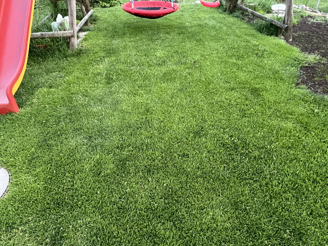 C59B2343-8C0A-45A0-9F05-B931BA93E6F3