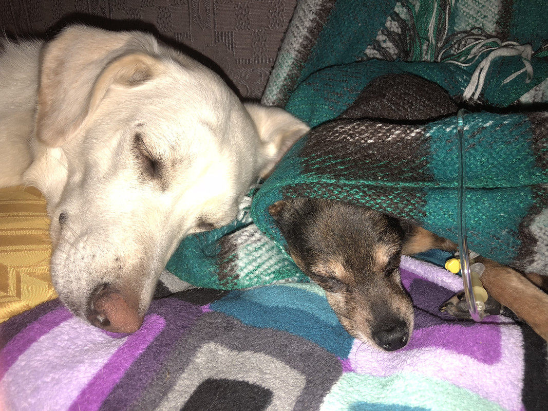 A85C9080-D9DD-4597-ADA3-76C7F0B1FFDA