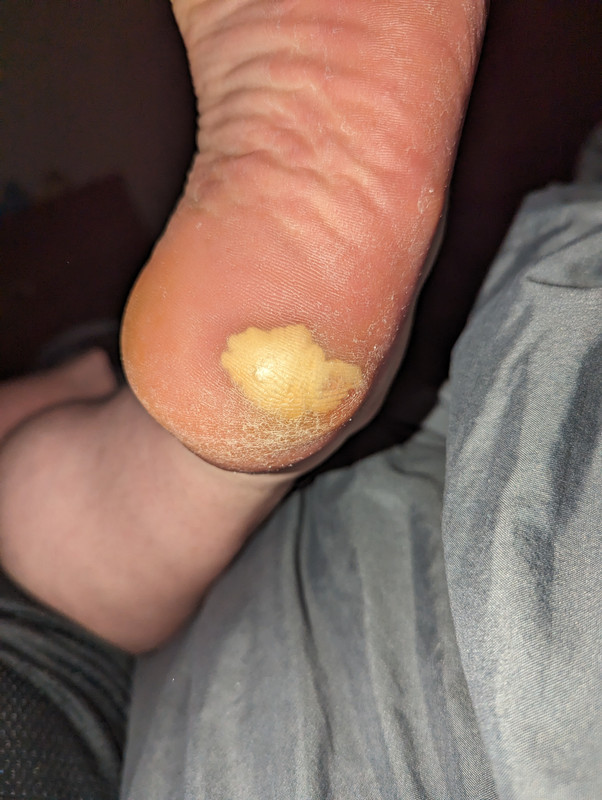 PXL_20240520_030400237