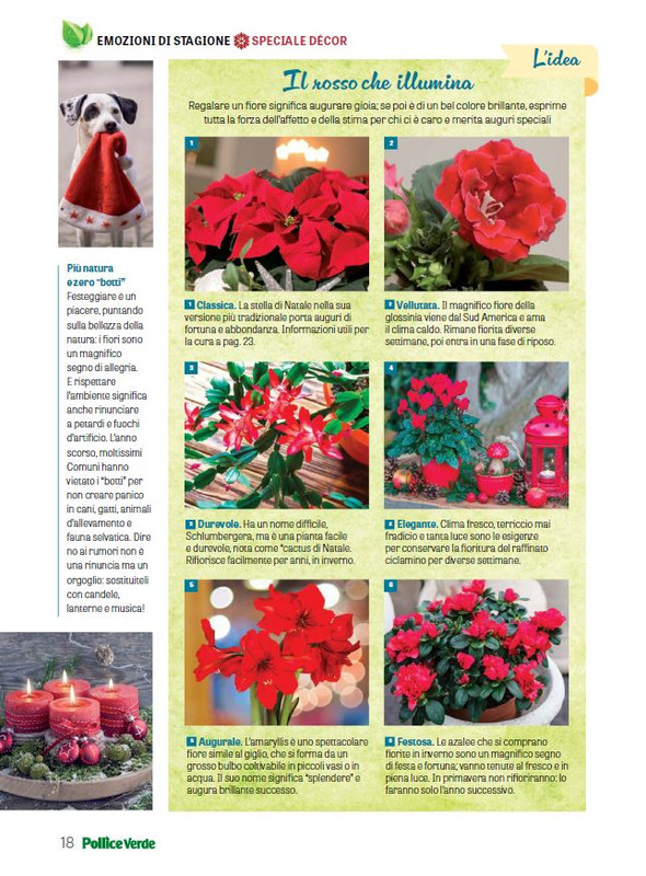 Pol Ver Dic 2023-Gen 2024 (2)