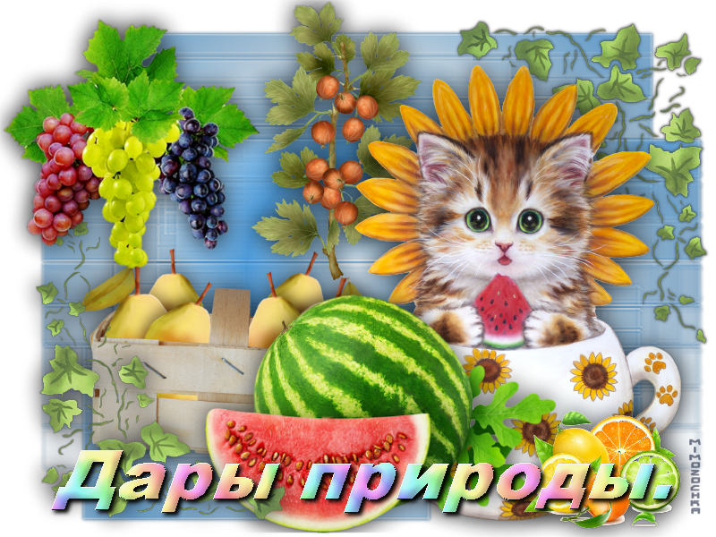 Дары природы
