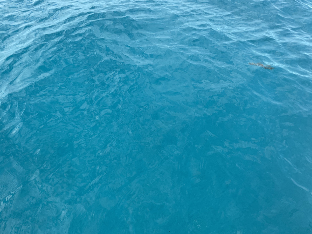 D2F3CA9A-A685-4576-9F0B-40761F620BBF