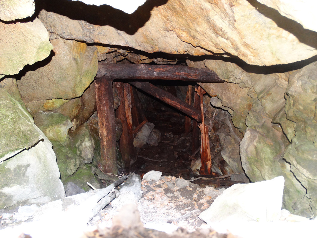 191 - DSC01490 (TomaszK)